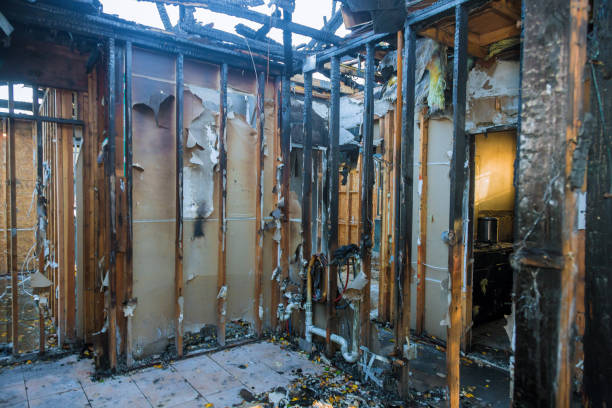 Professional Fire Damage Repair technician working in Rossville, IL